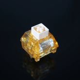 카일 박스 스위치 클리키 스위치 오텀 스위치